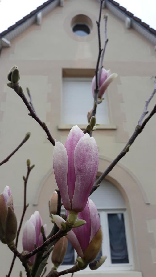 Le Gite Du Magnolia Willerval Esterno foto